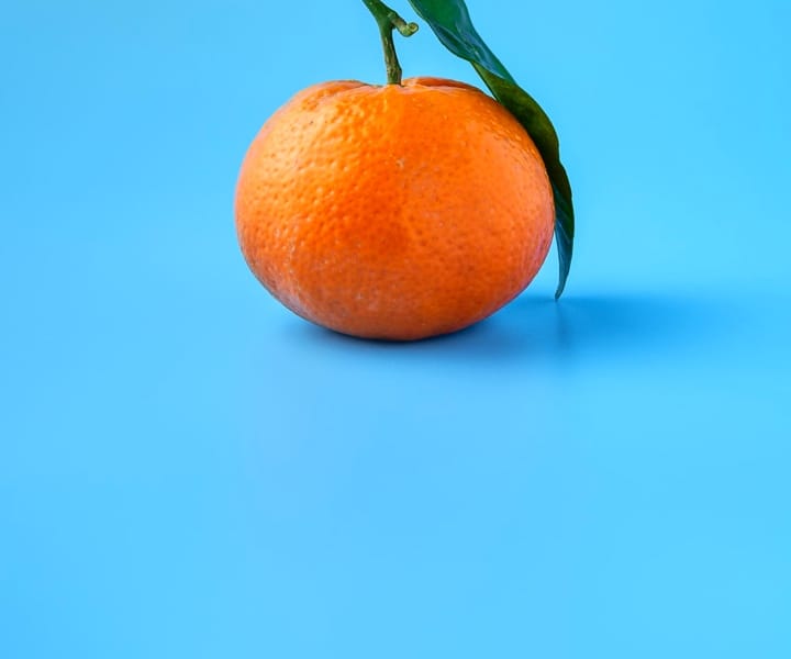 egg